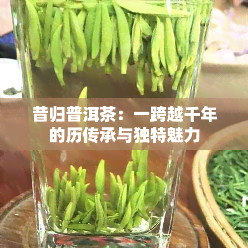 昔归普洱茶：一跨越千年的历传承与独特魅力