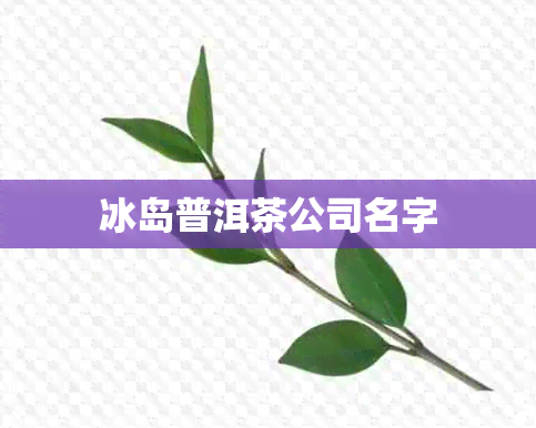 冰岛普洱茶公司名字