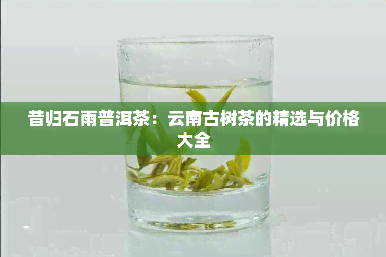 昔归石雨普洱茶：云南古树茶的精选与价格大全