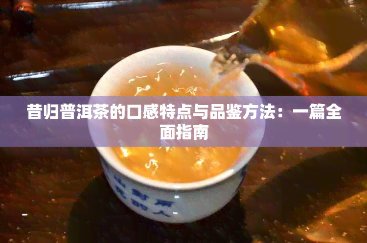 昔归普洱茶的口感特点与品鉴方法：一篇全面指南