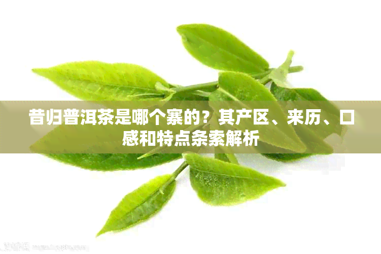 昔归普洱茶是哪个寨的？其产区、来历、口感和特点条索解析