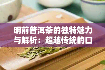 明前普洱茶的独特魅力与解析：超越传统的口感体验