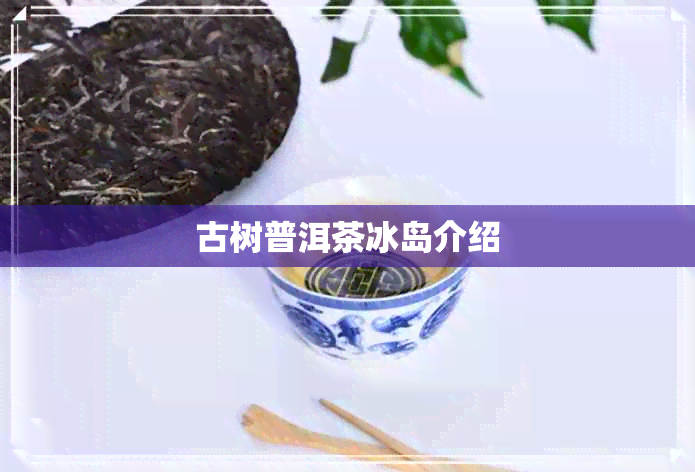 古树普洱茶冰岛介绍