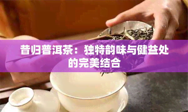 昔归普洱茶：独特韵味与健益处的完美结合