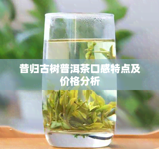 昔归古树普洱茶口感特点及价格分析