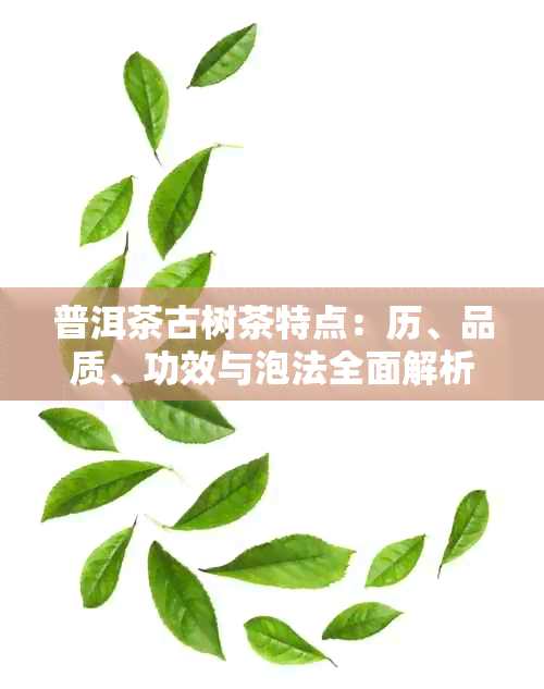 普洱茶古树茶特点：历、品质、功效与泡法全面解析