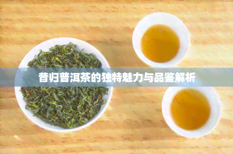 昔归普洱茶的独特魅力与品鉴解析