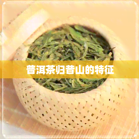 普洱茶归昔山的特征