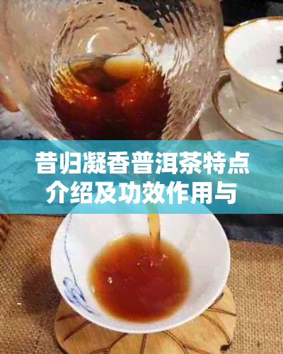 昔归凝香普洱茶特点介绍及功效作用与价格分析