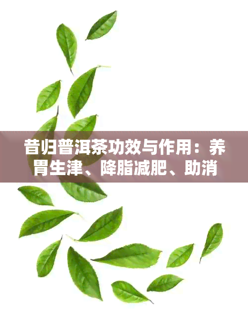 昔归普洱茶功效与作用：养胃生津、降脂减肥、助消化