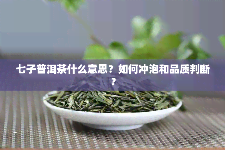 七子普洱茶什么意思？如何冲泡和品质判断？