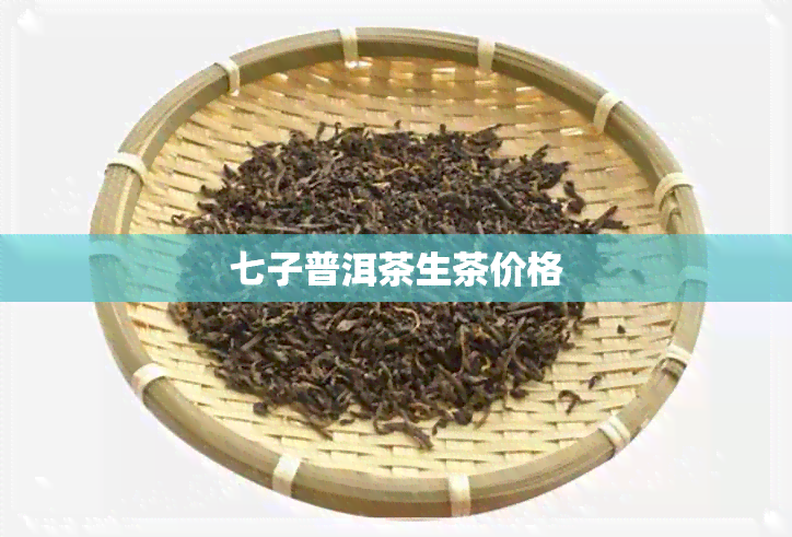 七子普洱茶生茶价格