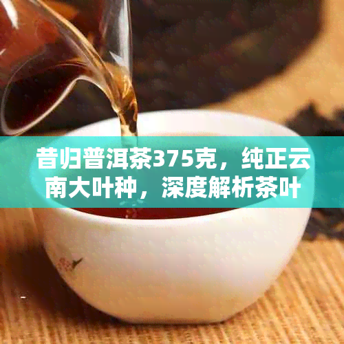 昔归普洱茶375克，纯正云南大叶种，深度解析茶叶品质与市场价格