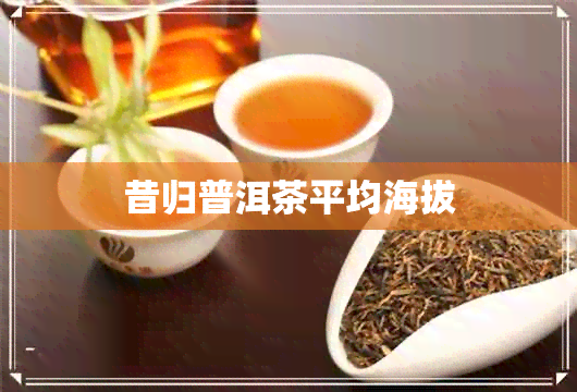 昔归普洱茶平均海拔