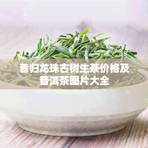 昔归龙珠古树生茶价格及普洱茶图片大全