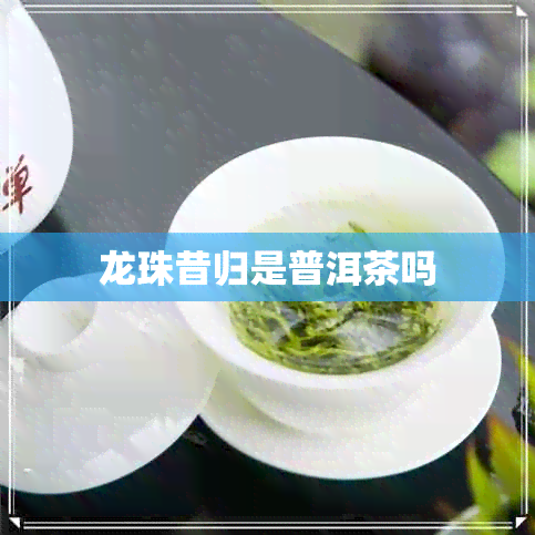 龙珠昔归是普洱茶吗