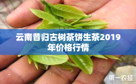 云南昔归古树茶饼生茶2019年价格行情