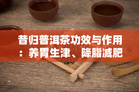 昔归普洱茶功效与作用：养胃生津、降脂减肥、抗衰老