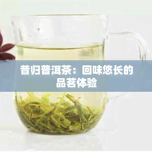 昔归普洱茶：回味悠长的品茗体验