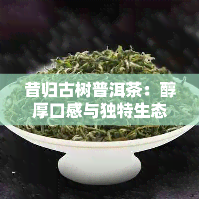 昔归古树普洱茶：醇厚口感与独特生态文化的完美结合