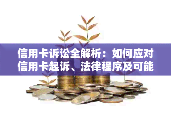 信用卡诉讼全解析：如何应对信用卡起诉、法律程序及可能后果