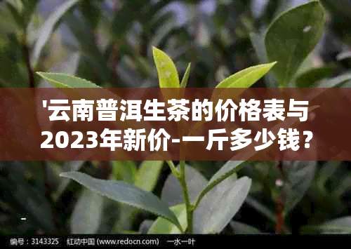 '云南普洱生茶的价格表与2023年新价-一斤多少钱？'