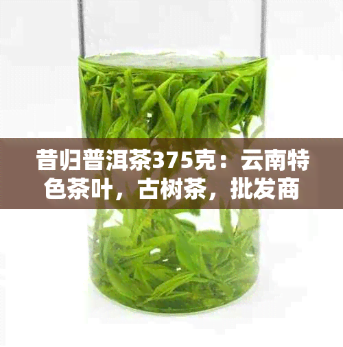 昔归普洱茶375克：云南特色茶叶，古树茶，批发商报价