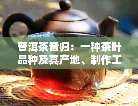 普洱茶昔归：一种茶叶品种及其产地、制作工艺和功效的全面解释