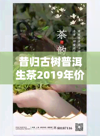 昔归古树普洱生茶2019年价格及品鉴：全面了解这款名茶的品质与市场行情