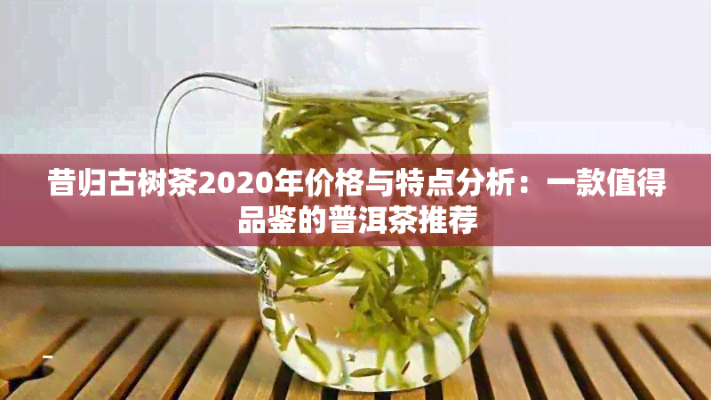 昔归古树茶2020年价格与特点分析：一款值得品鉴的普洱茶推荐