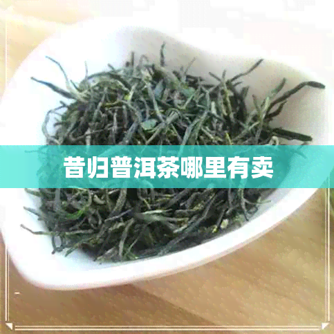 昔归普洱茶哪里有卖