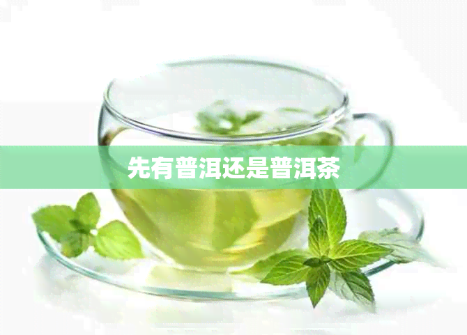 先有普洱还是普洱茶