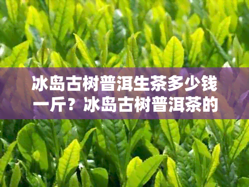 冰岛古树普洱生茶多少钱一斤？冰岛古树普洱茶的功效，价格及口感介绍