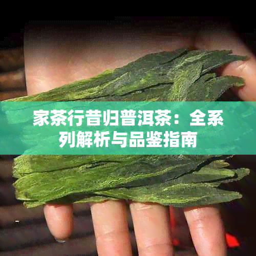 家茶行昔归普洱茶：全系列解析与品鉴指南