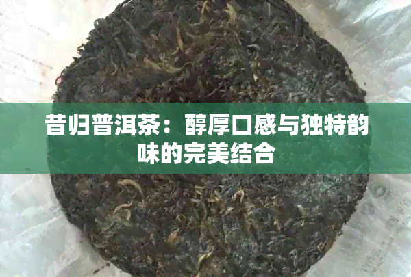 昔归普洱茶：醇厚口感与独特韵味的完美结合