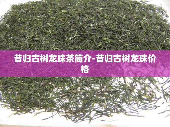 昔归古树龙珠茶简介-昔归古树龙珠价格