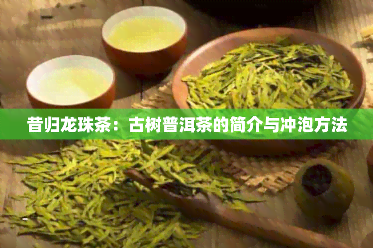 昔归龙珠茶：古树普洱茶的简介与冲泡方法