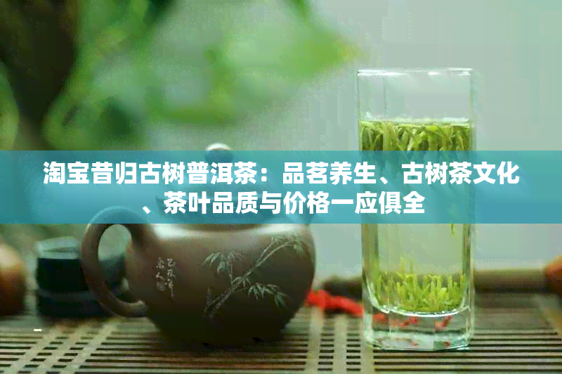 淘宝昔归古树普洱茶：品茗养生、古树茶文化、茶叶品质与价格一应俱全