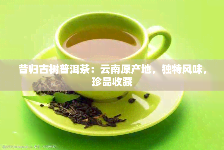 昔归古树普洱茶：云南原产地，独特风味，珍品收藏