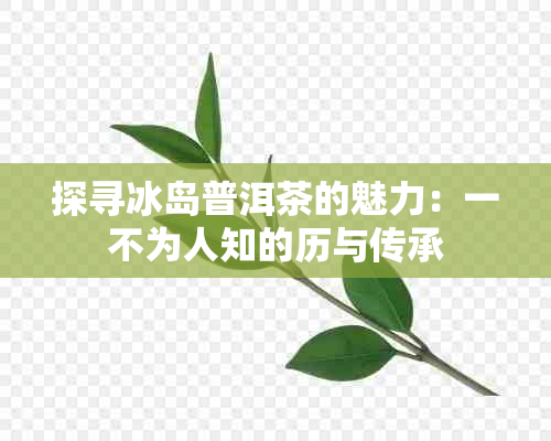 探寻冰岛普洱茶的魅力：一不为人知的历与传承