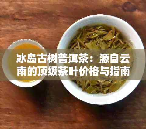 冰岛古树普洱茶：源自云南的顶级茶叶价格与指南