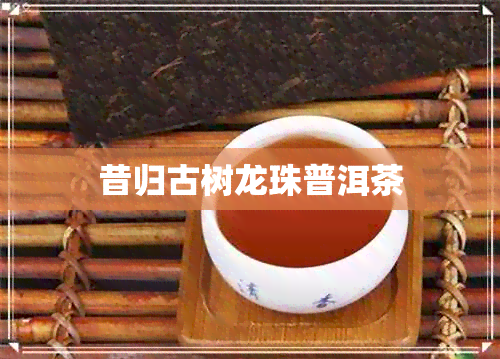 昔归古树龙珠普洱茶