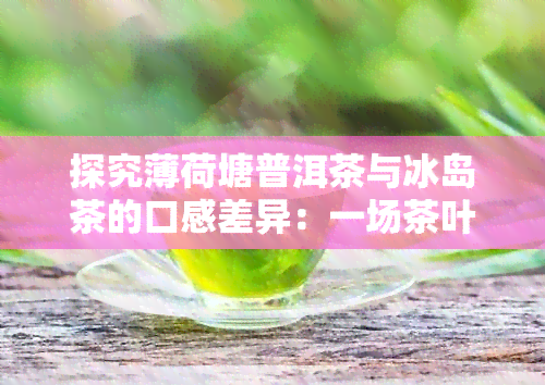 探究薄荷塘普洱茶与冰岛茶的口感差异：一场茶叶宴