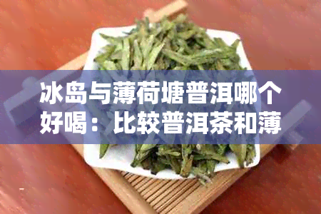 冰岛与薄荷塘普洱哪个好喝：比较普洱茶和薄荷糖的口感差异