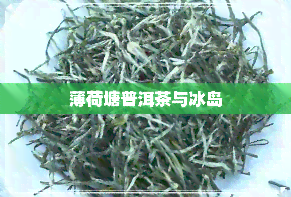 薄荷塘普洱茶与冰岛