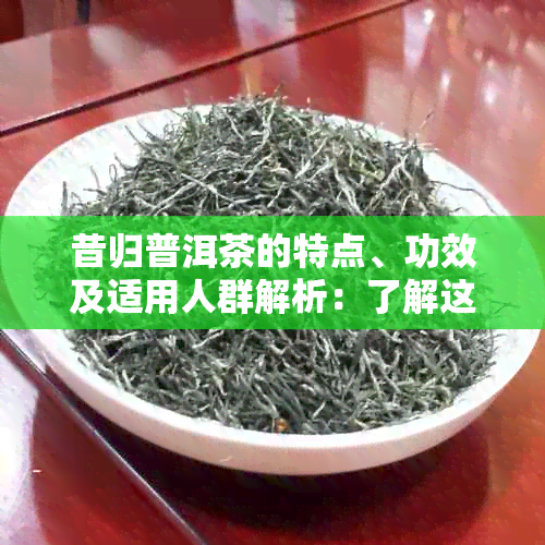 昔归普洱茶的特点、功效及适用人群解析：了解这款茶的全方位信息