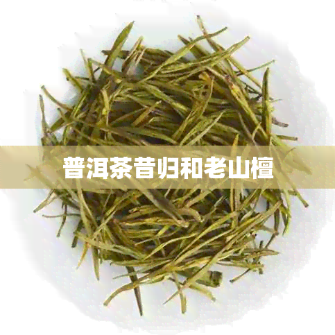 普洱茶昔归和老山檀