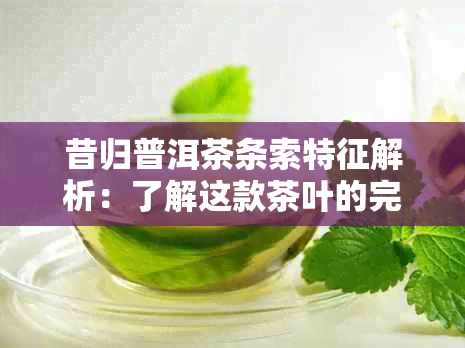 昔归普洱茶条索特征解析：了解这款茶叶的完整特点