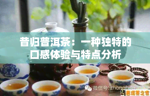 昔归普洱茶：一种独特的口感体验与特点分析