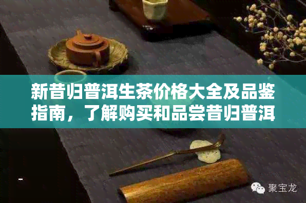 新昔归普洱生茶价格大全及品鉴指南，了解购买和品尝昔归普洱茶的全方面信息